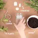 marcilla tendencia diy crea tu propio huerto urbano reutilizando tus botes de cristal marcilla soluble creme express 2