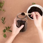 marcilla tendencia diy crea tu propio huerto urbano reutilizando tus botes de cristal marcilla soluble creme express 3