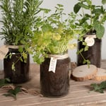 marcilla tendencia diy crea tu propio huerto urbano reutilizando tus botes de cristal marcilla soluble creme express 7