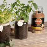 marcilla tendencias diy crea tu propio huerto urbano reutilizando tus botes de cristal marcilla soluble creme express