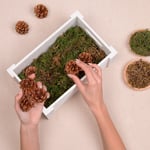 marcilla tendencias diy triunfa estas navidades reutilizando los botes de marcilla soluble creme express para crear tu propio centro de mesa 6