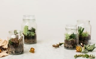 marcilla tendencias diy crea tu maceta reutilizando botes marcilla