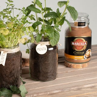 marcilla tendencias diy crea tu propio huerto urbano reutilizando tus botes de cristal marcilla soluble creme express