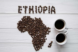 marcilla tendencias tradicion cual es el origen del cafe